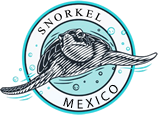 snorkel tulum